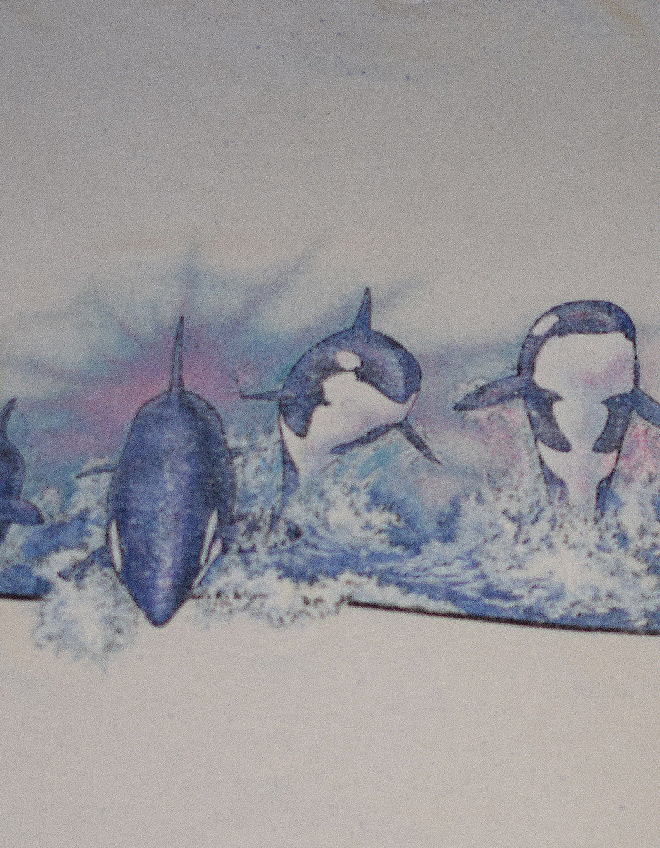 Vintage Shamu Shirt