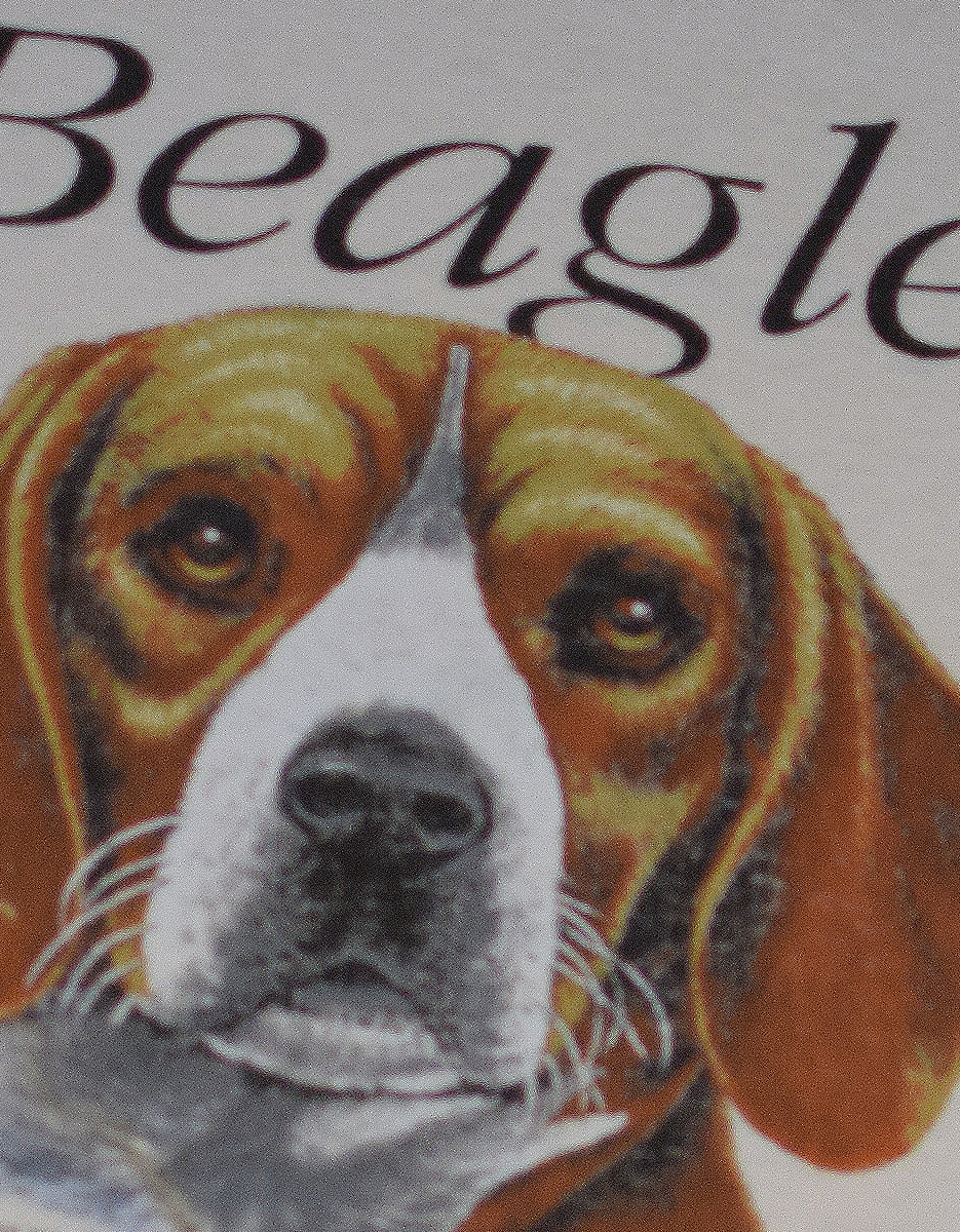 Vintage Beagle Shirt